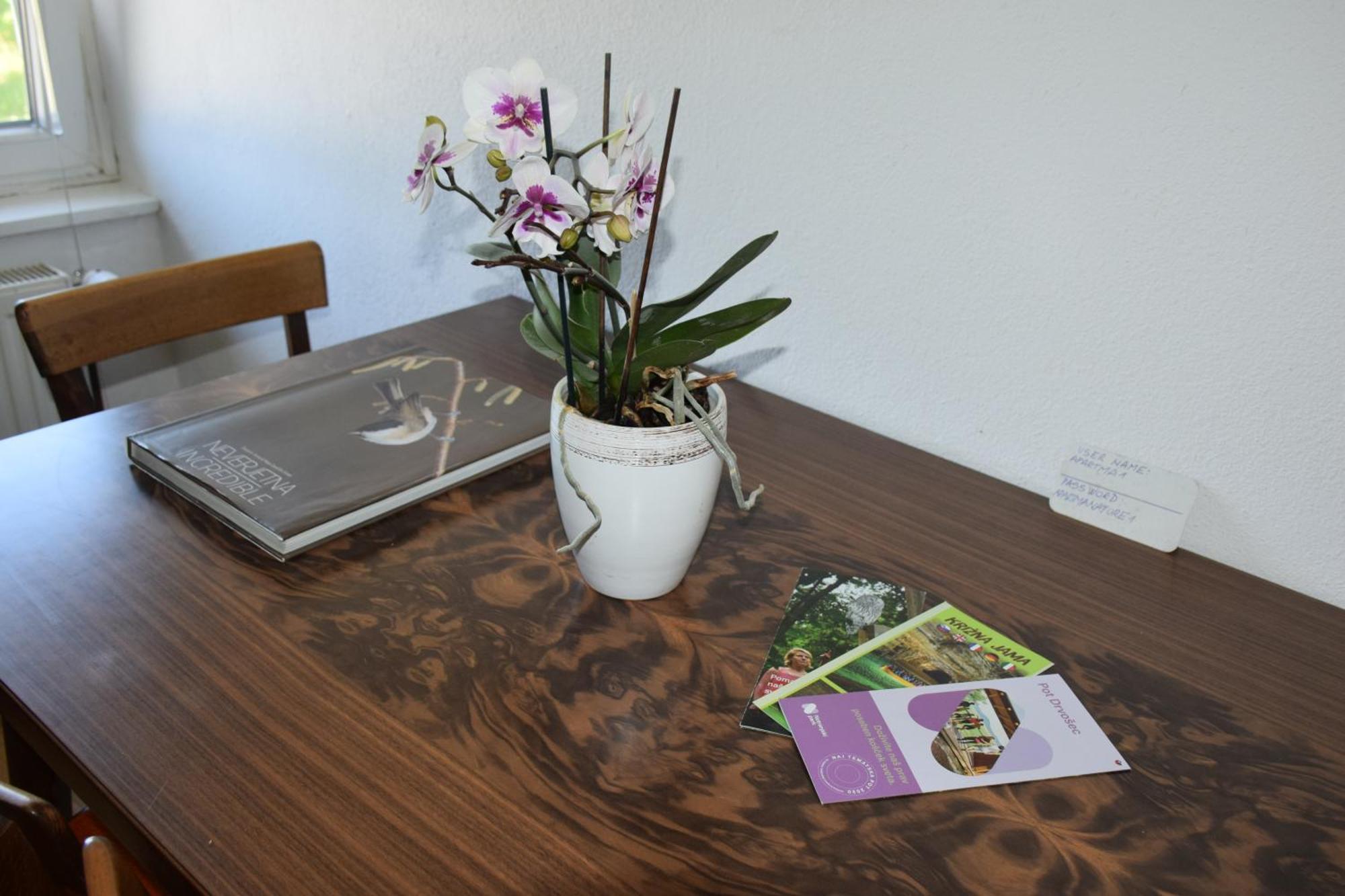 Apartma Narava Begunje pri Cerknici Pokój zdjęcie